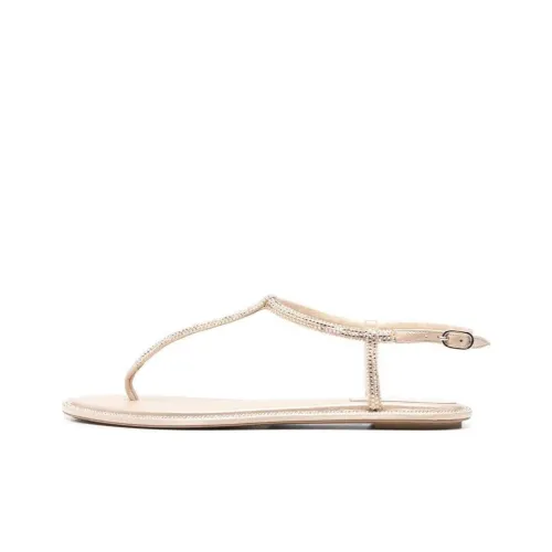 René Caovilla Diana Crystal-embellished Flat Sandals