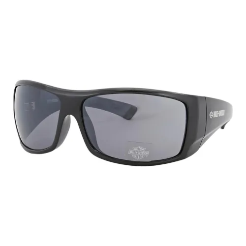 Harley Davidson Sunglasses Men