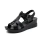 D8877 Black (Leather)