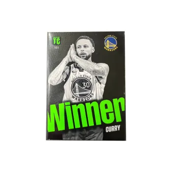 PANINI Sports Cards