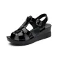 D8877 Black (Mirror Finish)