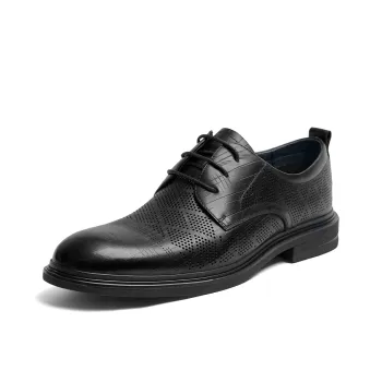 RED DRAGONFLY Casual Shoes Unlined Shoes Men's Dress Shoes Men's Black/Brown