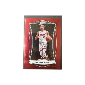 PANINI Dwyane Wade Panini Heat Team Spirit, The Flash, Wade, Rare Card Sports Cards 1 Pc