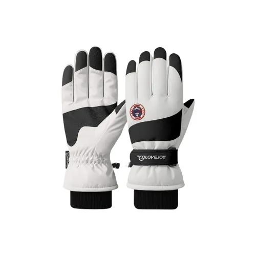 GOLOVEJOY Ski Gloves