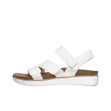 White/Brown