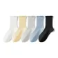 White+Black+Light Gray+Custard+Light Blue
