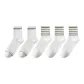 Double Stripe 3, Single Stripe 2