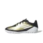 Black/Gold