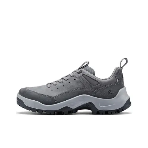 Ecco Low-Top Casual Shoes Men's Gray