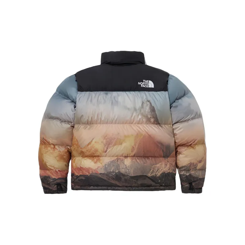 THE NORTH FACE 1996 Collection FW23 Down Jacket Unisex All Over Print-1