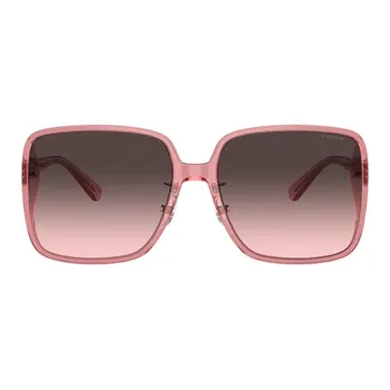 COACH Injection Molded Butterfly Sunglasses Women's Pink