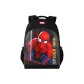 Black Spider-Man
