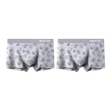 Paisley (Light Gray+Light Gray)