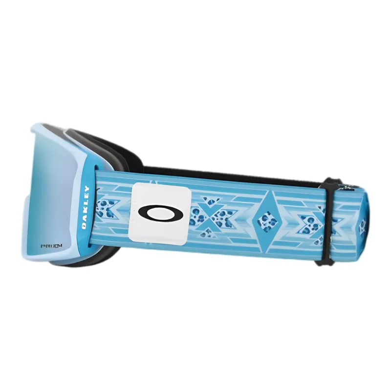 Oakley Ski Goggles-2