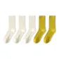 White 3-Green 2[5 Pack]