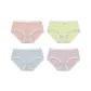 Light Pink+Light Green+Light Blue+Light Purple