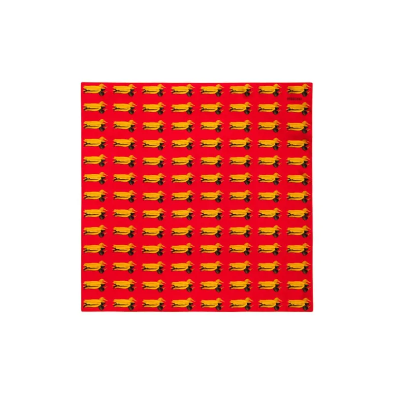 Burberry Silk Scarves Unisex Red-1