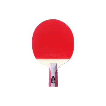 DHS Ping Pong Paddles