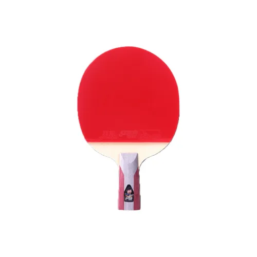 DHS Ping Pong Paddles