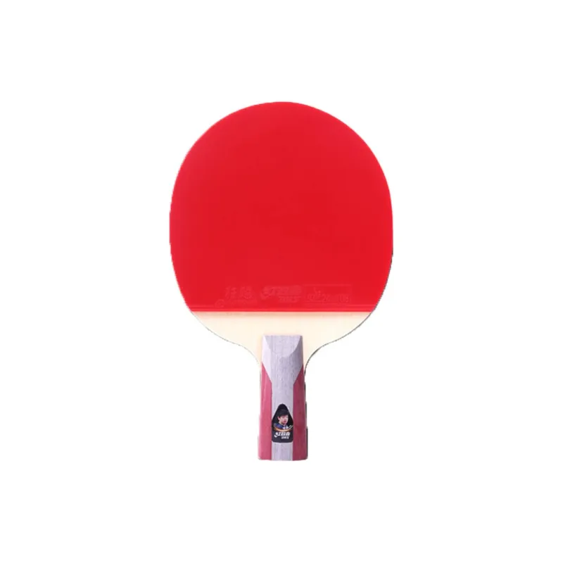 DHS Ping Pong Paddles-0