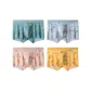 4 Pack (Orange+White Radish+Red Watermelon+Pineapple)