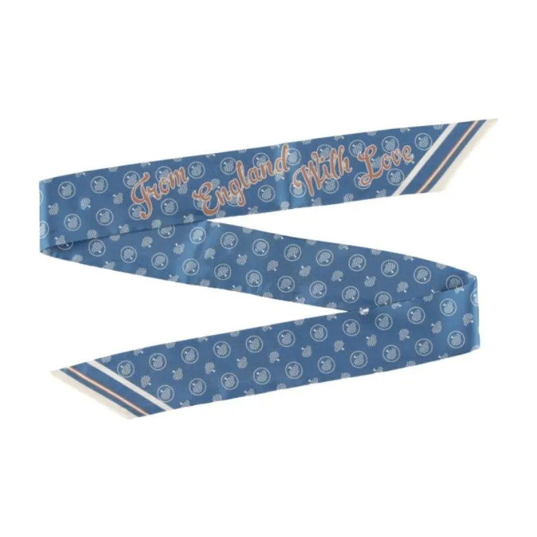Mulberry Recycled Polyester Silk Scarves Unisex Blue-1