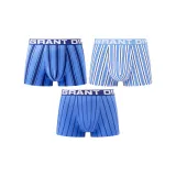 Blue Stripes