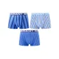 Blue Stripes