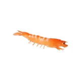 Mature Straight Shrimp
