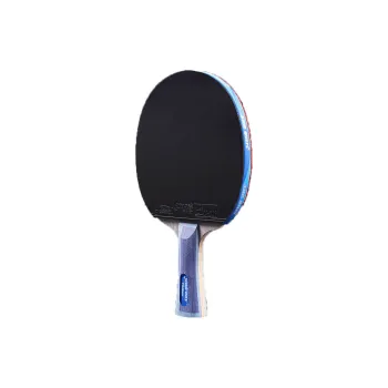 DHS Ping Pong Paddles
