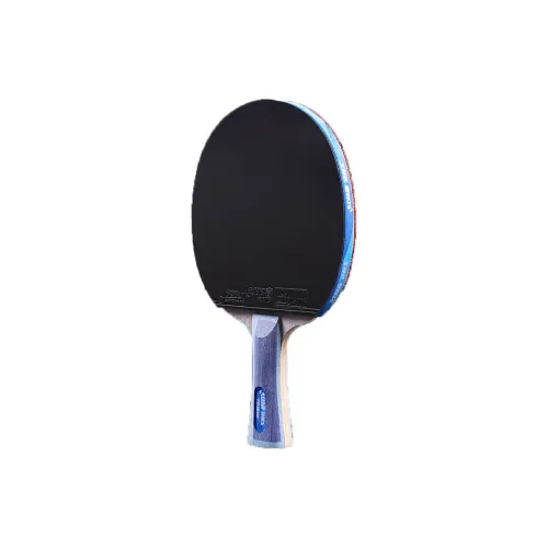 DHS Ping Pong Paddles