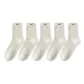 White 5[5 Pack]