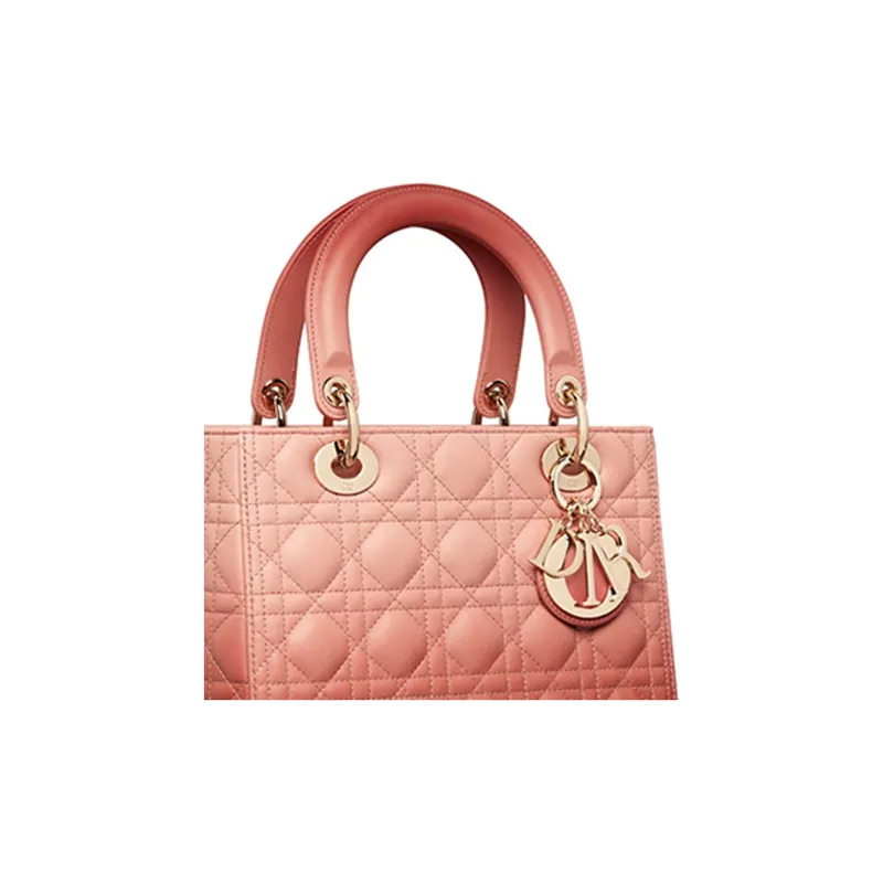 DIOR Leather Shoulder Bag Crossbody Bag Handbag Medium Size Women's Pink-4