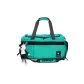 Turquoise with Charm