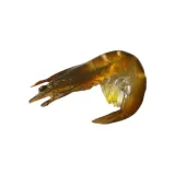 Raw Shrimp