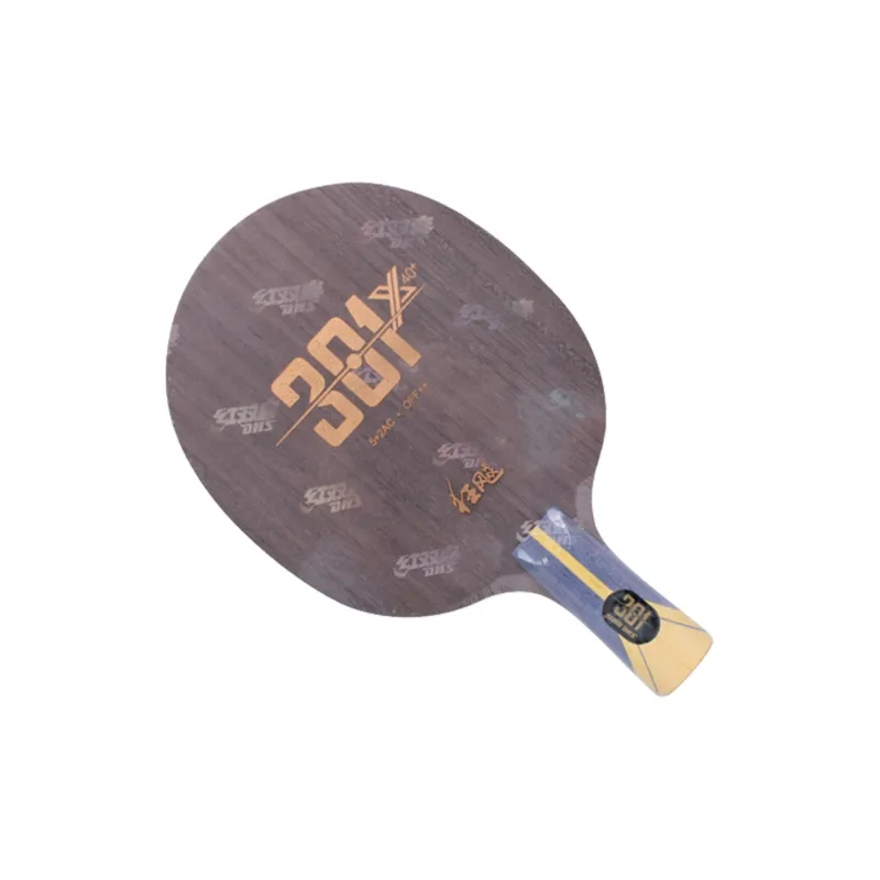 DHS Ping Pong Paddles-6