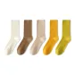 White 1-Brown 1-Skin 1-Yellow Cream 1-Green 1[5 Pack]