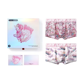 PLAN IN Underwear Gift Boxes Men's 2 Pack Christmas Box