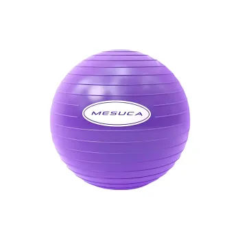 MESUCA Yoga Balls Indoor Women's
