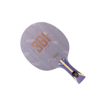 DHS Ping Pong Paddles