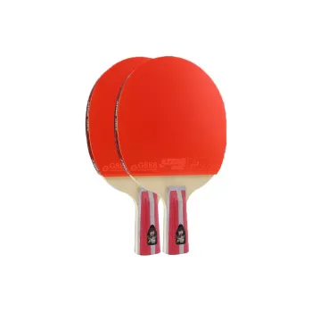 DHS Ping Pong Paddles