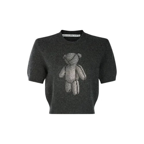 Alexander Wang Sweaters Women's Gray