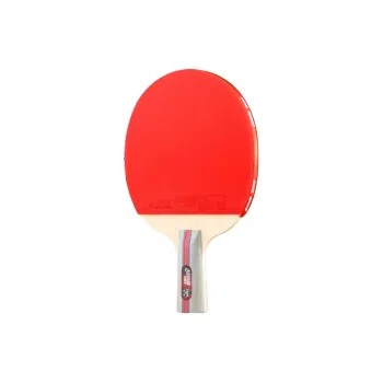 DHS Ping Pong Paddles