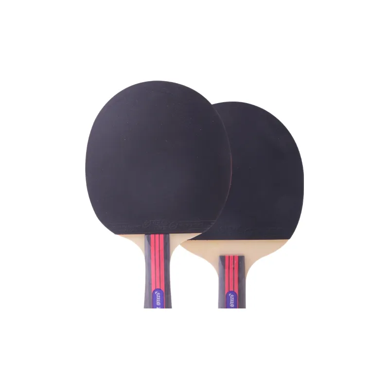 DHS Ping Pong Paddles-1