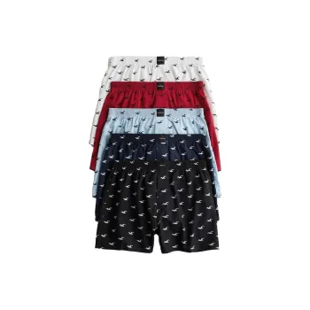 Hollister Men Underpants