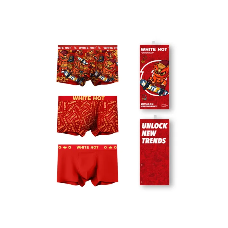 WHITE HOT Underpants Men's 214 Premium Box Recommendation-0