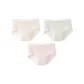 3-Pack (Nude Pink+Green+Lotus Root Powders)