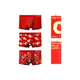 Gift Box Set (Abundance Every Year+Red Envelope+Red)