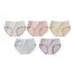 5-Pack (White+Pink+Nude+Blue+Purple)