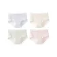 4-Pack (Blue+Nude Pink+Green+Lotus Root Powders)